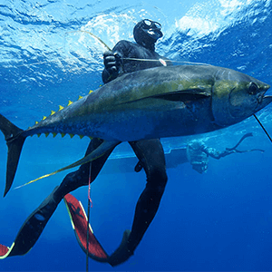 Which wetsuit styles you would like?