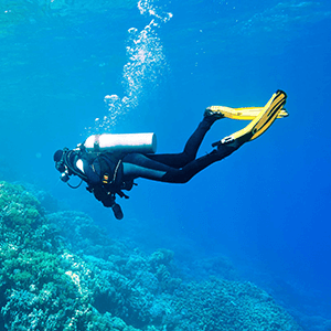 Which wetsuit styles you would like?